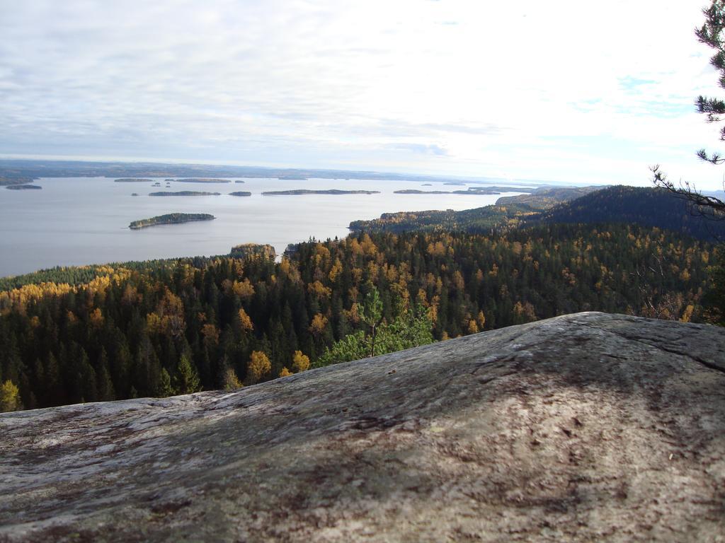 Koli Freetime Cottages Ahmovaara Habitación foto